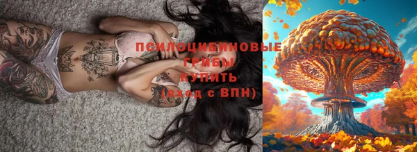 дмт Нея